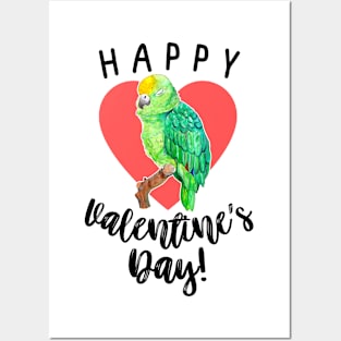 Happy Valentine's Day - Amazon Parrot Posters and Art